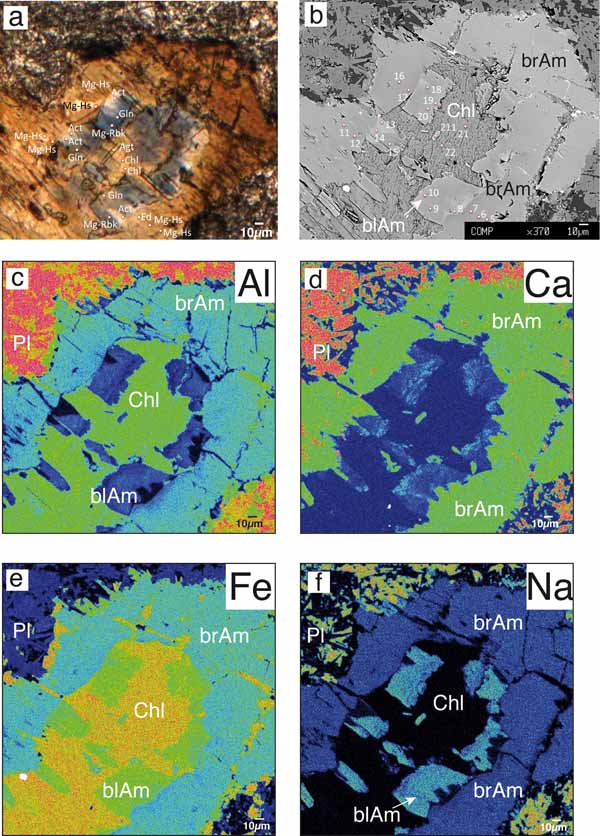 Textural features and microchemical composition of metadolerite MC81.