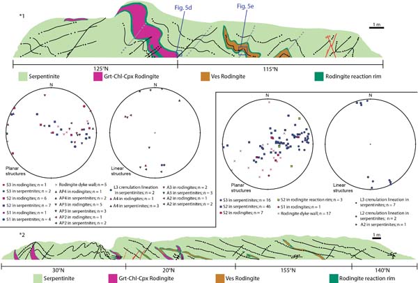 The shared structural history of serpentinites and rodingites