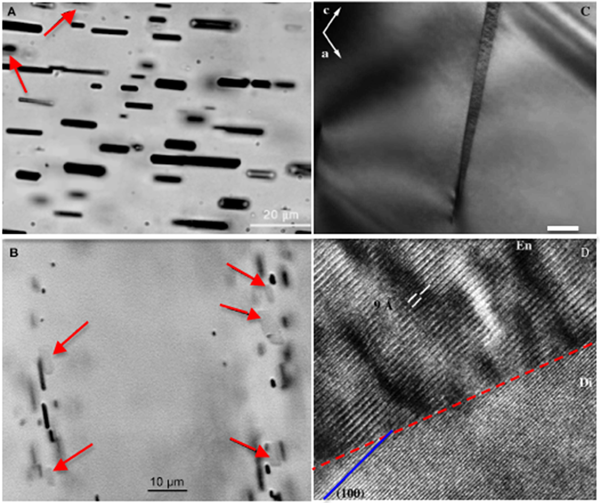 Optical micrographs of ilmenite and chrome spinel precipitates