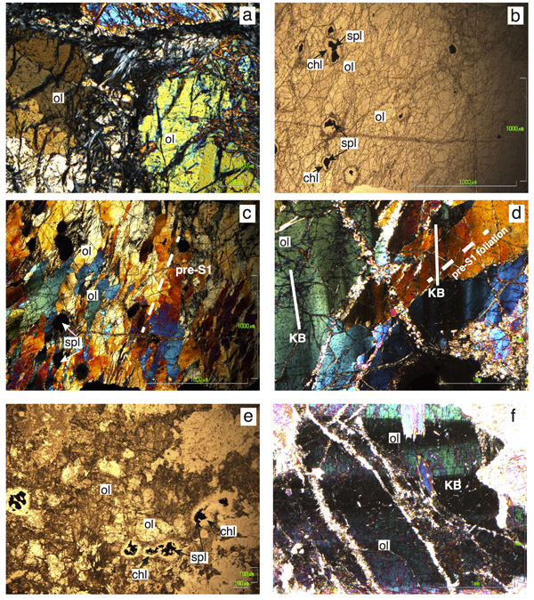 Photomicrographs of representative samples of the Antrona ultramafic rocks.