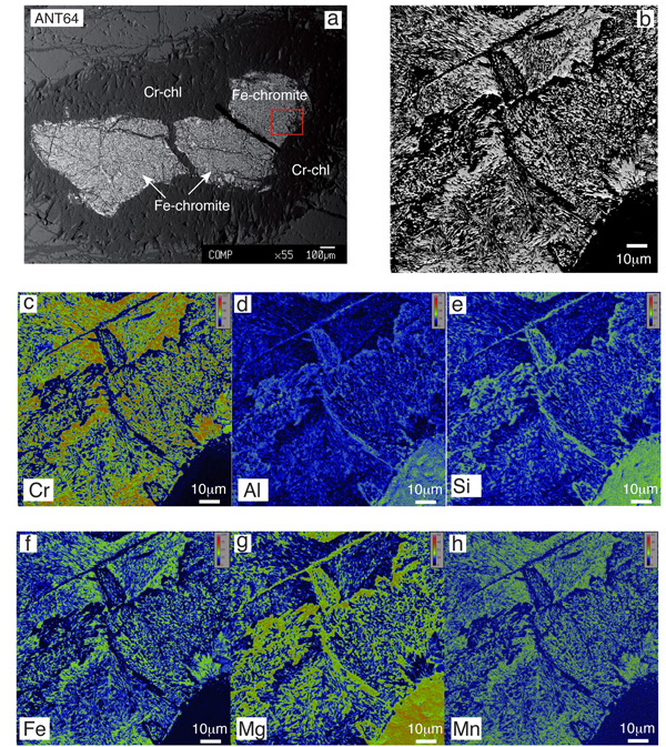 BSE images and X-ray element maps of spinel porphyroclast in dunite (sample ANT64).