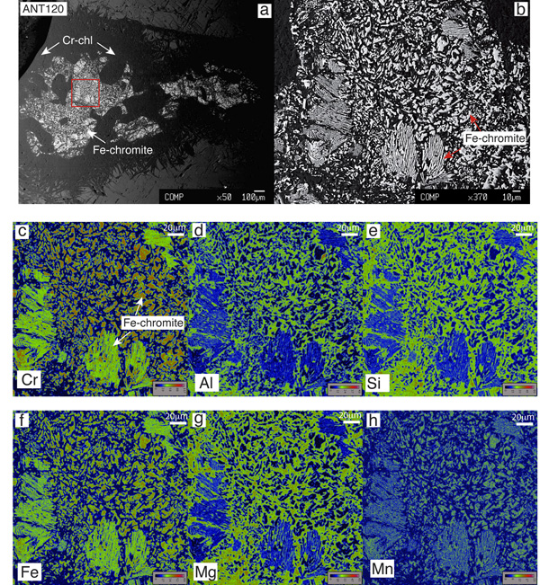 BSE images and X-ray element maps of spinel porphyroclast in coarse-grained ol+-cpx+-spl-rich rock (sample ANT120).