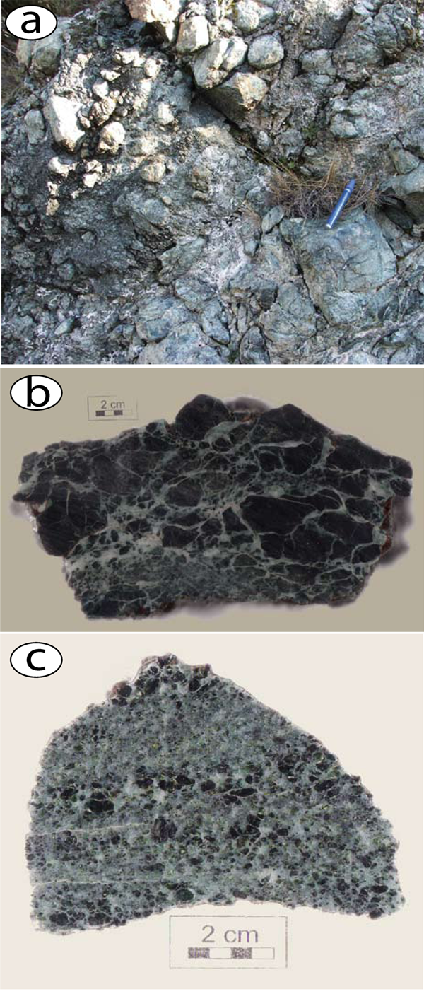 Serpentinite sedimentary breccia