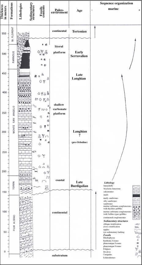Stratigraphic log of the Saint Florent Miocene basin after Ferrandini et al. 1996.