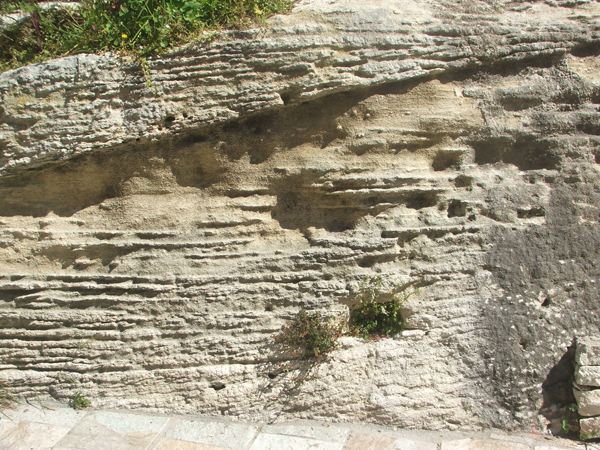 Cross-bedded medium grained carbonatic sandstones.