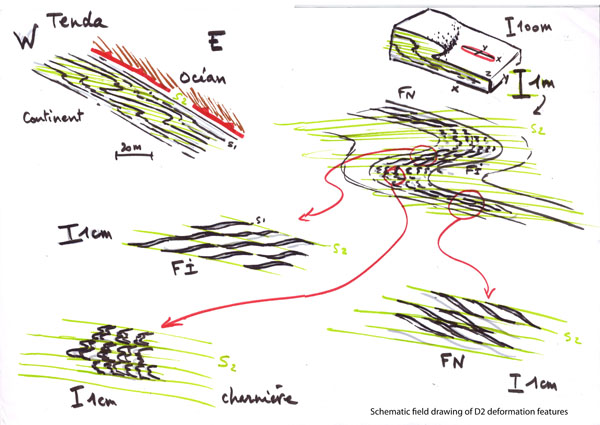 Schematic field drawings of D2 deformation structures along the ETSZ.