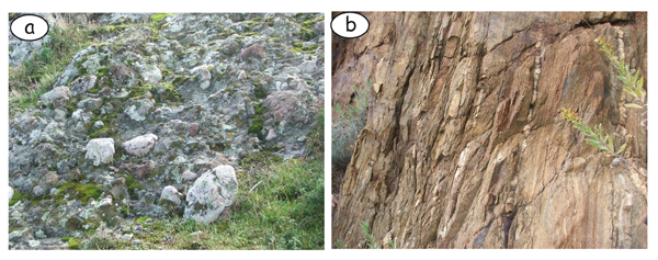 Authochtonous Hercynian basement and its alpine sedimentary cover sequence.