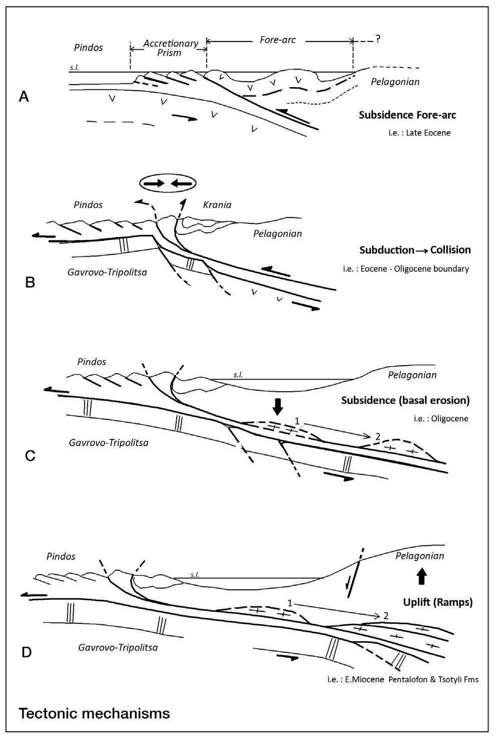 Main tectonic mechanisms supposed to have controlled the piggyback MHB evolution.