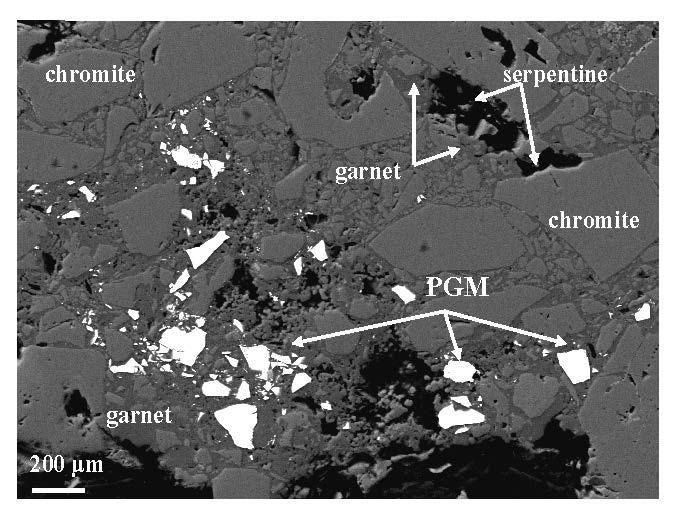 Back-scattered electron (BSE) images of extremely abundant dismembered-fragmented IPGM grains zone.