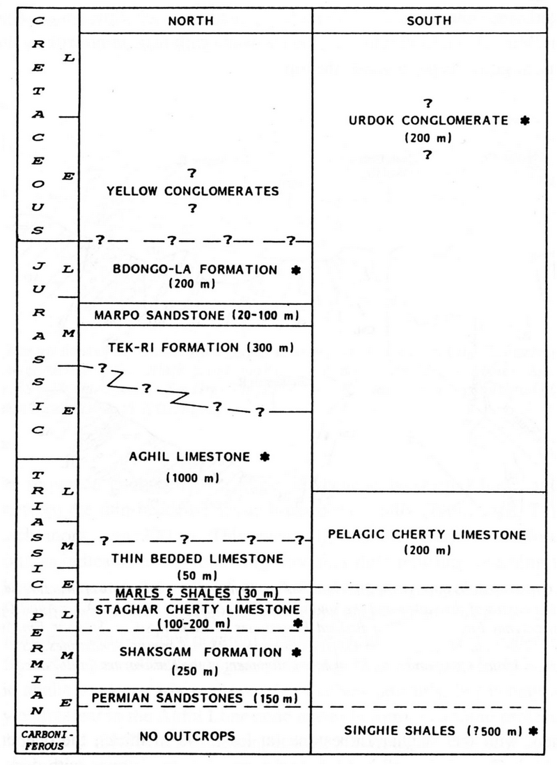 Stratigraphic terminology for the Shaksgam Sedimentary Belt