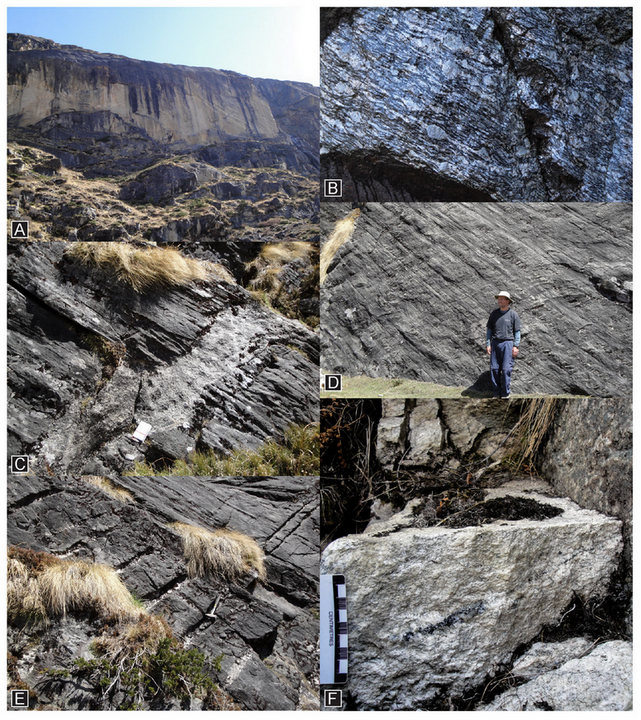 Field photographs of leucogranite dykes, orthogneiss and paragneiss