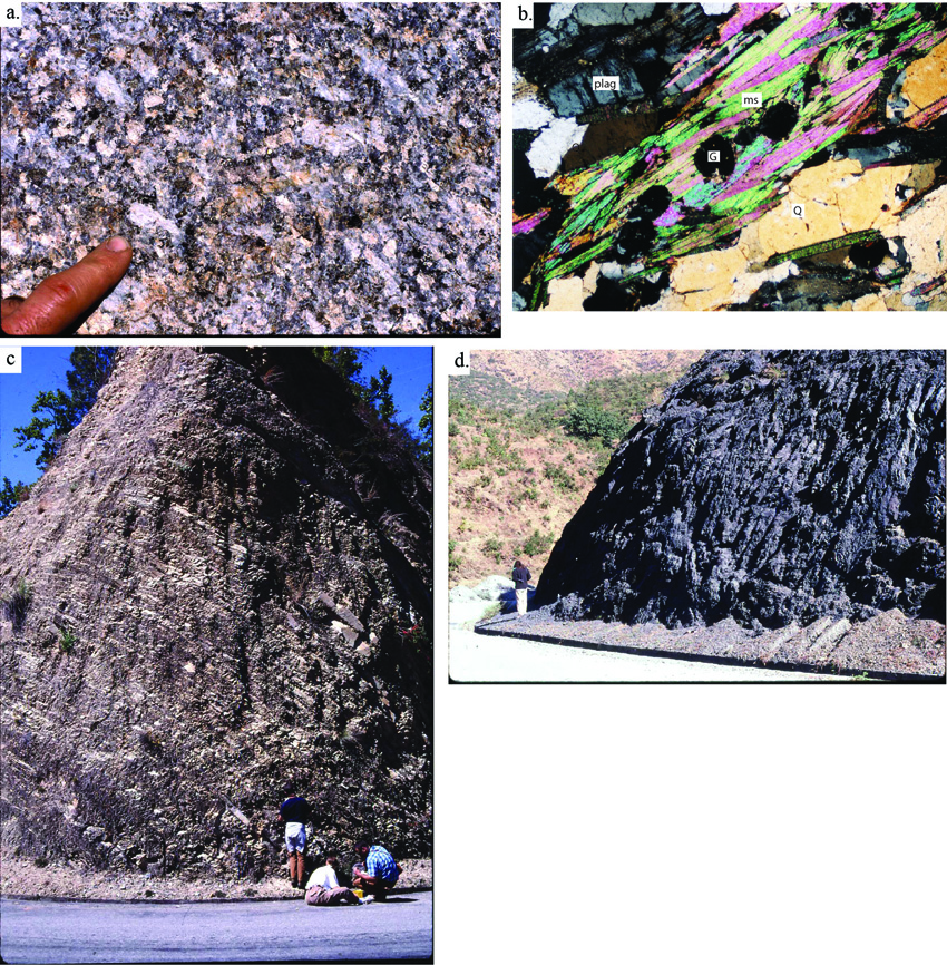 Dadeldhura granite, Dadeldhura klippe and Melmura and Damgad Fms