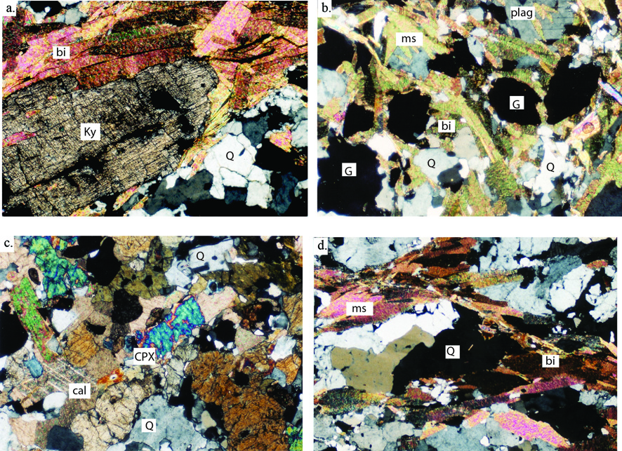 Photomicrographs of Greater Himalayan rocks