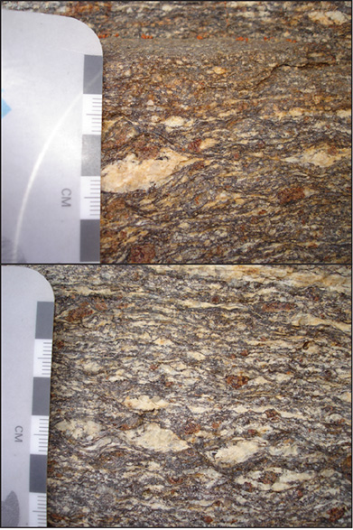 Biotite-garnet-sillimanite migmatite gneiss