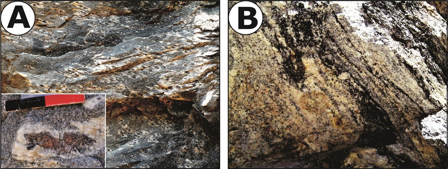 Garnet porphyroblasts and migmatite