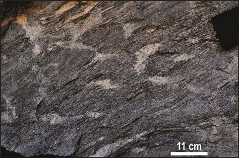 Structureless leucogranite patches