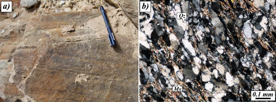 Structures and microtextures of the Martoli Formation.