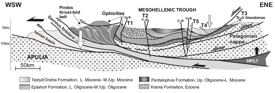 Schematic cross section through the MHT